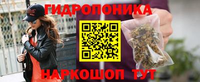 стаф Рыбинск